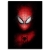 OBRAZ SPIDER MAN ARTIST NA PŁÓTNIE + RAMA